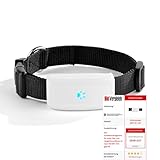 Simmotrade® SMT_911_OS, GPS Tracker für Hunde und große Katzen ohne ABO. Bild.de...