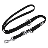 DDOXX Nylon Hundeleine - 2m, 3fach verstellbare Hundeleine für alle...
