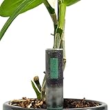 hûs+ flower eco 【 A babysitter for your plants 】 Digitaler Gießanzeiger inkl....