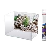 AMTRA Wonder - Aquarium Poster Hintergrund, Aquarium Dekoration, Deko Poster mit...