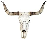 Veronese Design Bullenschädel Longhorn Schädel Skull Totenschädel Schädel...