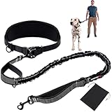 Freihändig Laufleine - Bungeeteil für Joggingleine, Bauchgurt Hundeleine mit...
