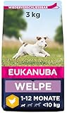 Eukanuba Welpenfutter mit frischem Huhn für kleine Rassen, Premium Trockenfutter für...