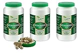 VITA IDEAL Vegan® Weidenrinde 3x360 Kapseln - Salicis alba Cort - Tagesportion 460mg...