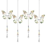 Wgewfhdf Nanny Gifts - Wunderschönes Kristall-Sonnenfänger-Andenken, elegantes...