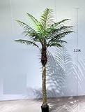 Phönixpalme 210cm bis 230cm ZF künstliche Palmen Kunstpalmen Kunstpflanzen Dekopalme