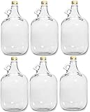 lilawelt24 6 x 5L GLASBALLON Weinballon GÄRBALLON GLASFLASCHE Flasche Gallone...