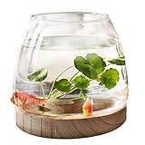 YJDZ Glas-Fischglas mit Holzsockel: Transparente Aquarium-Kugelvase für Betta,...