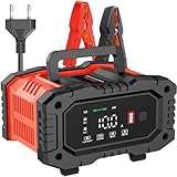 10A Autobatterie Ladegerät, 12V 24V LiFePO4 Ladegerät, Batterie Ladegerät, KFZ...
