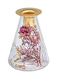 Rayher Glasvase mit Trockenblumen + Kerzenhalter, 12,5 cm hoch, 8 cm ø, konisch, für...