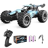 Pmgud Ferngesteuertes Auto, 2,4 GHz 1:18 Proportional 2WD 20+ km/h Hobby Offroad...