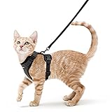 rabbitgoo Katzengeschirr mit Leine Softgeschirr für Katze Brustgeschirr Cat Harness...