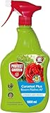 PROTECT GARDEN Curamat Plus Rosen-Pilzfrei Spray, anwendungsfertiges Spray gegen...