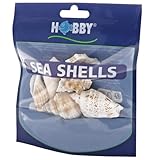 Hobby 40224 Sea Shells Set, L