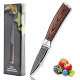 Wakoli Edib Damast Officemesser I Scharfe 8 cm Klinge aus 67 Lagen Damaststahl...