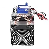 FSLLOVE Kleingeräteteile für die Körperpflege DC12V 150W / 180W Thermoelektrische...