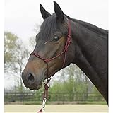 Busse Knotenhalfter Standard, Bordeaux, Pony/Vollblut