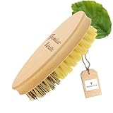 HOFMEISTER® Gemüsebürste 13,5 cm Holz - hochwertige Naturborsten in 2...
