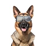 NAMSAN Hundebrille UV-Schutz, Winddicht, Staubdicht, mit Verstellbarem Riemen,...