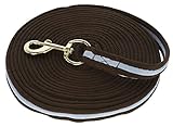 Kerbl Longierleine Softlonge (Farbe braun/hellblau, Länge 8 m, aus weichem Mischgewebe,...