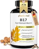 360 Aprikosenkerne Kapseln mit 1100mg Aprikosenkern-Extrakt pro Tag (2 Kapseln)...