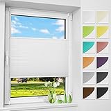 Allesin Plissee ohne Bohren Plissees Klemmfix Weiß 35x130cm(BxH), Plisseerollo Faltrollo...