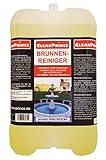CleanPrince Brunnenreiniger 5 Liter | Brunnen Springbrunnen Algen Wasserklärung...