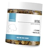 Canobel VITAL Vitamin B Komplex für Hunde & Katzen I B1, B2, B5, B6, B9, B12,...
