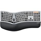 ProtoArc EK01 Plus Ergonomische Tastatur Kabellos Beleuchtet, Full Size Ergo Funktastatur...