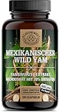 Yamswurzel 1000mg -WICHTIG: 10:1 Extrakt (=10000mg mex. Wild Yams je Tagesdosis) +20%...