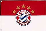 FC Bayern Fahne Hissflagge Originalware 60 x 90 cm Motiv Logo mit 2 Ösen