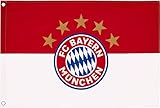 FC Bayern Fahne Hissflagge Originalware 60 x 90 cm Motiv Logo mit 2 Ösen