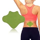iShanCare Rücken Schmerzlinderungspflaster, 24 Stück Wärmepflaster Patch, 8...