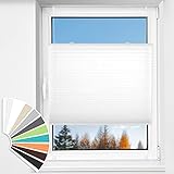 HOMEDEMO Plissee Klemmfix ohne Bohren Jalousien, Weiß, 35x100cm(BxH),...