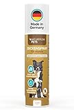 Premium Zeckenspray für Hunde - Flohspray Hund Made in Germany – Wirksamer...