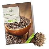 BIO Kümmelsamen - Küchenkräuter Saatgut aus biologischem Anbau ideal für den...
