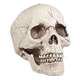 Boland 74378 - Deko Schädel Jawbone mit beweglichem Kiefer, Totenkopf...