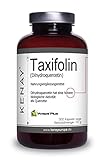 TAXIFOLIN (Dihydroquercetin) 100mg pro Tagesdosis - pflanzliche Kapsel - Vegan - Ohne...