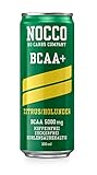 Nocco BCAA Energy Drink 330 ml koffeinfrei – Citrus/Holunderblüte,...