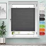 Sanfree Plissee Klemmfix Plisseerollo ohne Bohren Anthrazit B45 x H100cm inkl....