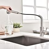 HOMELODY Wasserhahn Küche Ausziehbar mit 2 Strahlarten Geschirrbrause...