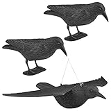 WELLGRO 3 x Vogelschreck - 2 x Krähe sitzend & 1 x Krähe fliegend -...