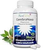 Magtein & Ashwagandha Komplex – Hochdosiert mit 2000 mg Magtein, 600 mg Ashwagandha...