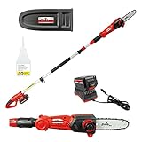 Grizzly Tools Akku Hochentaster AKS 2040-21 T - 20V 4.0 Ah Lithium Ionen akku -...