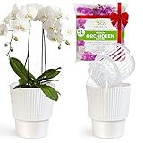 Garten lux 2er-Set Selbstbewässerungstöpfe für Orchideen–Weiß, Ø16cm,...