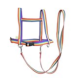 Jamso Design Pferdespielleine Regenbogen Pferdeleine Pferdespiel Pferdegeschirr für 2...