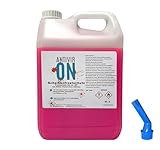 5L (1 x 5 Liter) Premium Scheibenfrostschutz -60°C (R) Halloween Ausgiesser inklusive...
