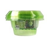 Schneckenschutzring 6er Set aus Kunststoff grün-transparent, schützt ihre...