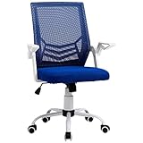 Vinsetto Ergonomischer Bürostuhl mit Armlehnen und Lendenwirbelstütze, Bürodrehstuhl...