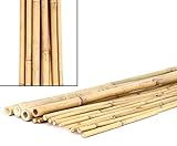15er Set Bambusrohre Tonkin, gelblich, naturbelassen, Durch. 2-2,2cm, Länge...